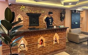 Hotel Pipal Tree